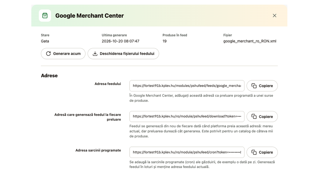 Fereastra feedului Google Merchant Center: stare, generare, adresa feedului, adresa de generare la preluare și adresa programată